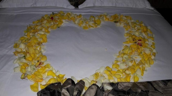 Afropolitan Hotel image 11