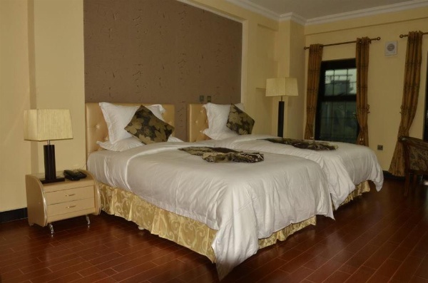 Afropolitan Hotel image 12